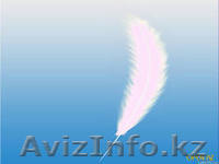 ТОО \"РусКазПух\" - Изображение #1, Объявление #899220