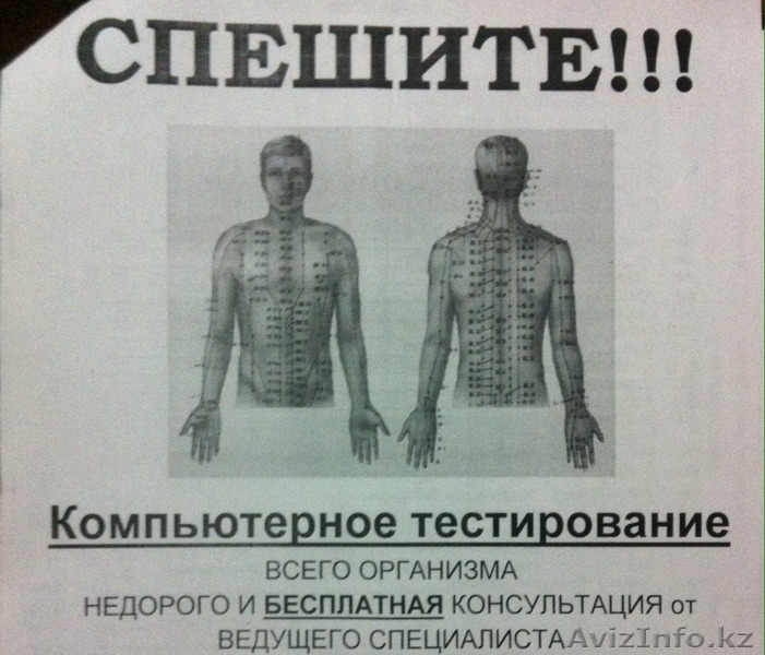СПЕШИТЕ! компьютерное тестирование организма - Изображение #1, Объявление #1230722