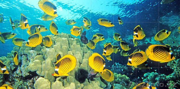 Фотокафель Кокшетау - Изображение #1, Объявление #1450302