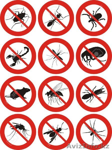 Дезинcекция и дератизация Кокшетау - Изображение #1, Объявление #1561276