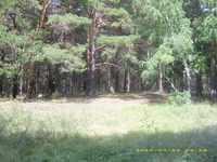 Земельный участок и дом - Изображение #3, Объявление #328278