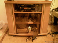 Телевизор, Холодильник, Коммуникатор,Тумба под TV   - Изображение #1, Объявление #403256