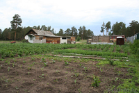 продам  дом c земельным участком - Изображение #2, Объявление #689280