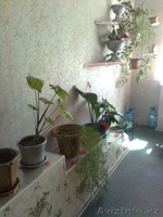 2-х комнатная, S - 50 кв.м., кухня - S - 9 кв.м., м-н "Экспресс", р-н вокзала.  - Изображение #2, Объявление #736763