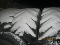 продажа б/у шин - Изображение #1, Объявление #832765