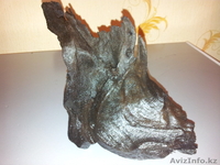 Коряга мангрового дерева  - Изображение #3, Объявление #874578