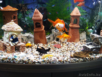 Красивый аквариум Hopar H620  - Изображение #6, Объявление #874564