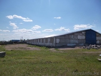 Подхоз. Коровник - Изображение #4, Объявление #917035