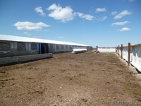 Подхоз. Коровник - Изображение #3, Объявление #917035