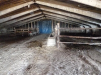 Подхоз. Коровник - Изображение #2, Объявление #917035