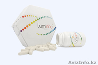 Laminine-ваш путь к здоровью! - Изображение #2, Объявление #997985