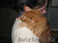 Мурзилка, Сказка, Граф и Мухтар от МБфЗЖ - Изображение #8, Объявление #936764