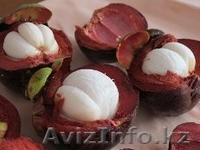 сок ксанго целебный напиток повышает иммунитет - Изображение #1, Объявление #1199893