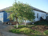 Продам квартирный дом - Изображение #2, Объявление #1379202