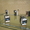 Электротовары: выключатели, лампочки, щиты, пускатели, кабели, розетки и другое  - Изображение #1, Объявление #245168