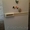 Продам холодильник б/у МИНСК АТЛАНТ #787156