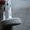cамопередвижной очистительный комплекс СОК - 25 для чистки/ калибровки зерна  - Изображение #7, Объявление #1188893