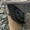 Продам редуктор заднего и среднего моста Камаз - Изображение #1, Объявление #1289313