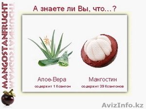 Xango +7-777-666-8437