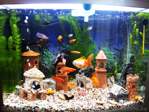 Красивый аквариум Hopar H620  - Изображение #3, Объявление #874564