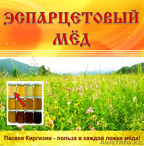 оптовые поставки горного мёда из Киргизии - Изображение #6, Объявление #875413