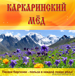 оптовые поставки горного мёда из Киргизии - Изображение #1, Объявление #875413