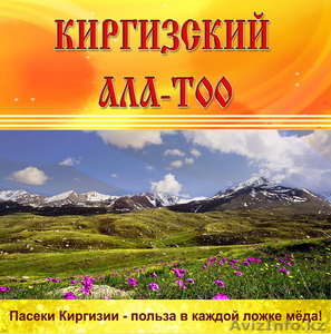 оптовые поставки горного мёда из Киргизии - Изображение #4, Объявление #875413