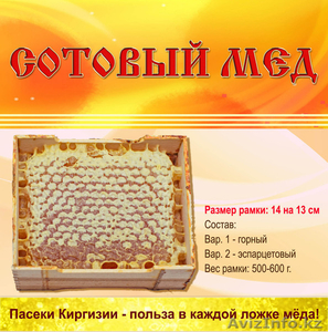 оптовые поставки горного мёда из Киргизии - Изображение #2, Объявление #875413