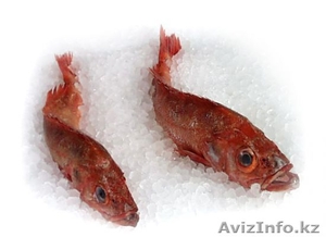 Свежемороженая рыба в акмолинской области - Изображение #1, Объявление #985636