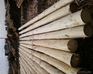 деревянные опоры