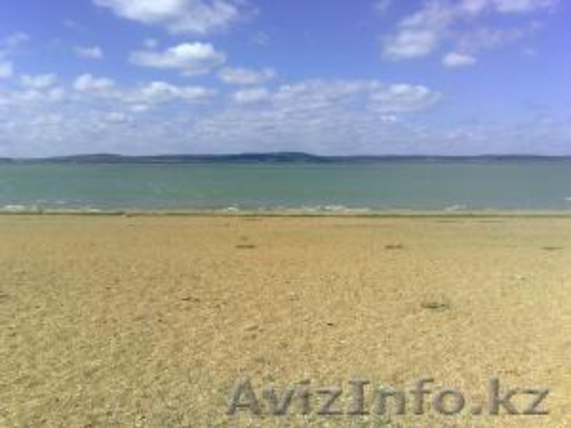 Продам земельный участок (1 га.) в щучинско-боровс - Изображение #1, Объявление #3045