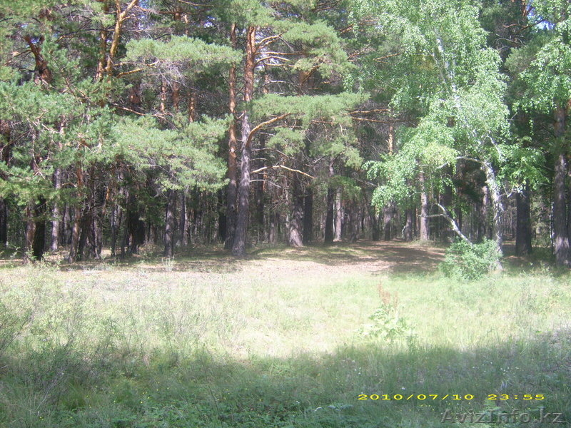 Земельный участок и дом - Изображение #3, Объявление #328278