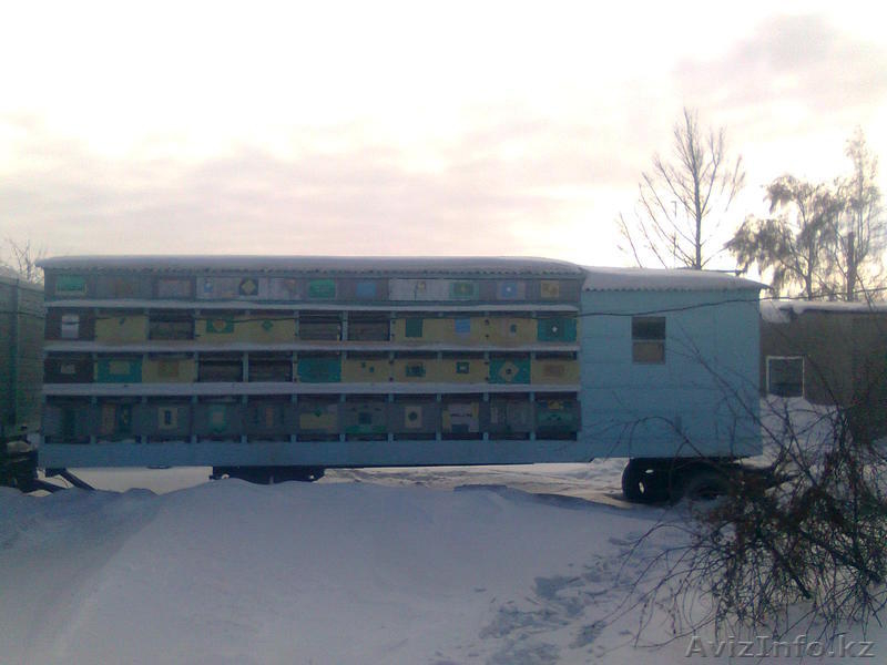 Продам пчеловодный павильон - Изображение #4, Объявление #863857