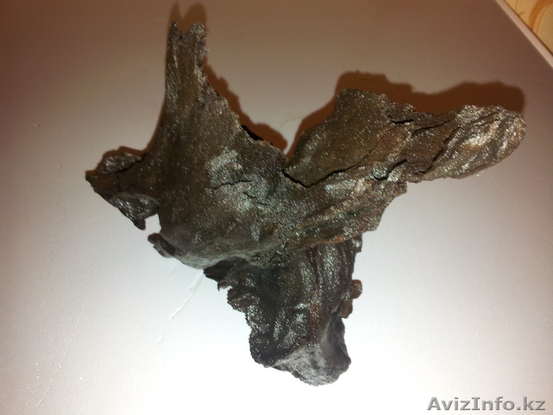 Коряга мангрового дерева  - Изображение #1, Объявление #874578