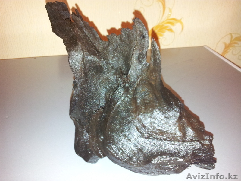 Коряга мангрового дерева  - Изображение #3, Объявление #874578