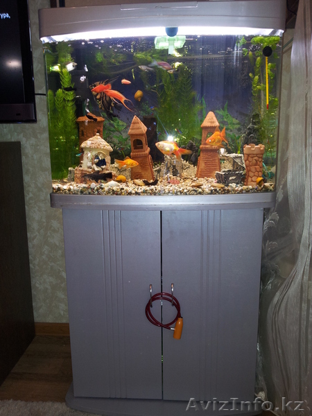 Красивый аквариум Hopar H620  - Изображение #2, Объявление #874564