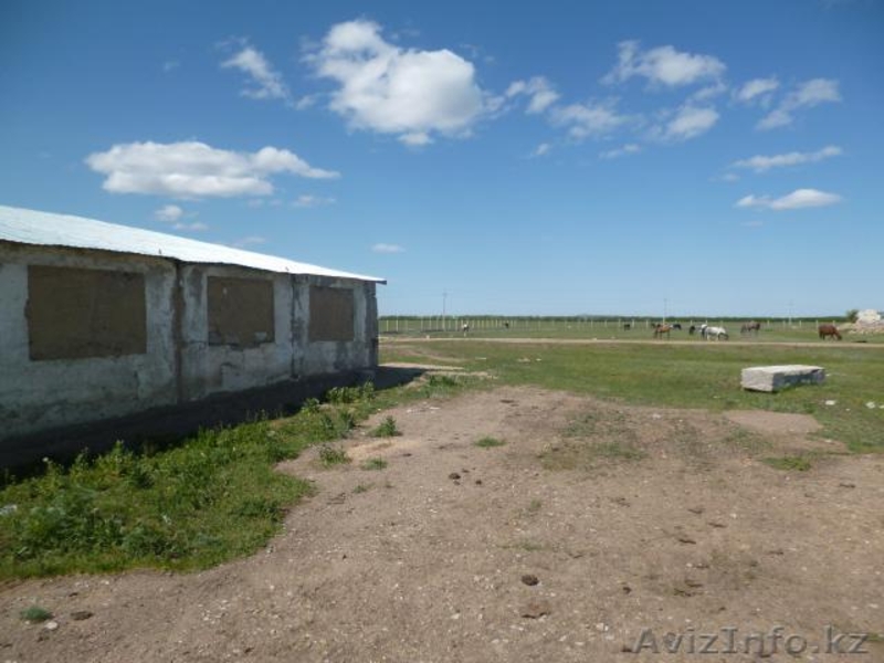 Подхоз. Коровник - Изображение #5, Объявление #917035