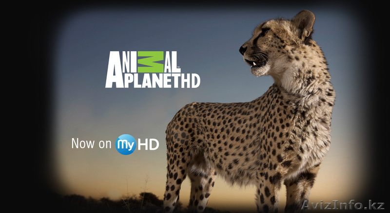 Спутниковое телевидение 250 каналов  - Изображение #9, Объявление #1064792