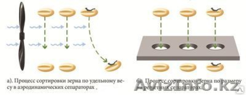 сепаратор зерна ИСМ-5 безрешётный, аэродинамический - Изображение #6, Объявление #1223763