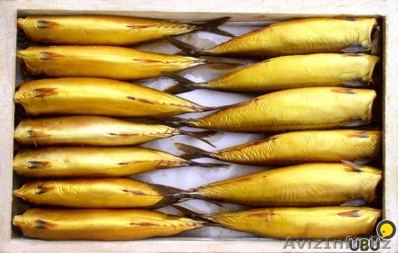 Скумбрия. Скумбрия (без головы) холодного копчения 510 - Изображение #2, Объявление #1299995