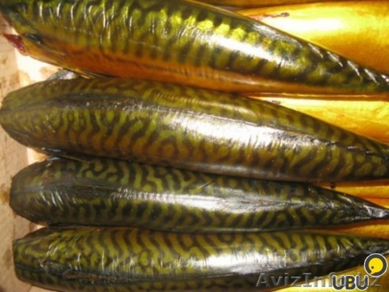 Скумбрия. Скумбрия (без головы) холодного копчения 510 - Изображение #3, Объявление #1299995