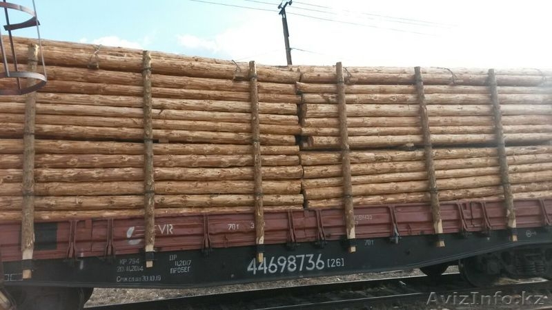 деревянные опоры ЛЭП и связи - Изображение #3, Объявление #1489523