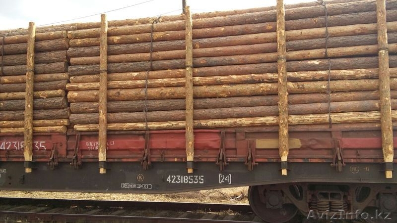 деревянные опоры ЛЭП и связи - Изображение #2, Объявление #1489523