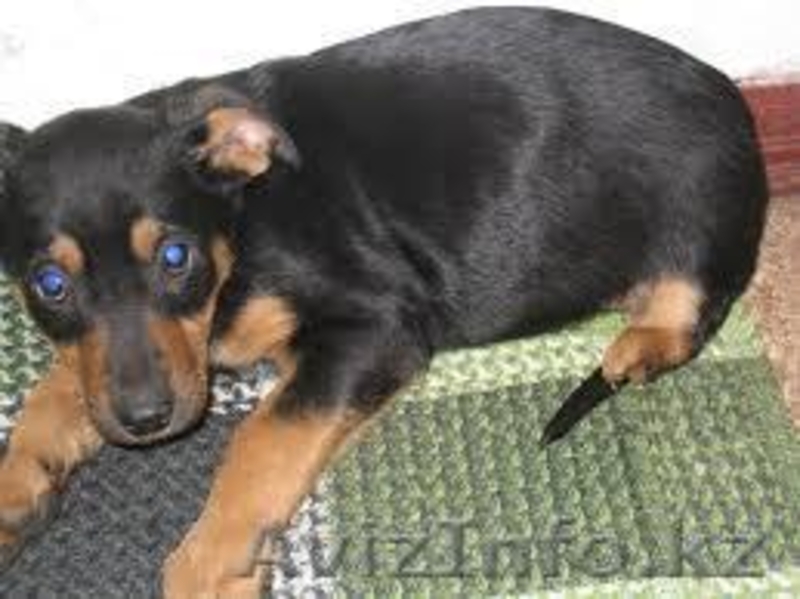 Лучшие - от МБфондаЗЖ "Переведи Взгляд" - Изображение #3, Объявление #1516238