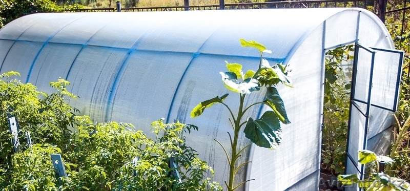 Усиленные теплицы - Изображение #5, Объявление #1603356